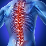 Spinal Cord Injury